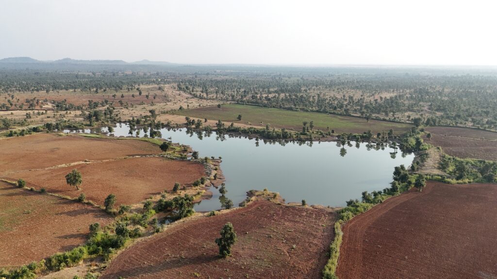 Reforesting Baran - Purana Faredua 2024 Outstanding Potential to transform ecosystems - Reforesting Baran